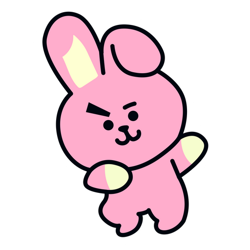 BT21 Characters – Names and Members - COOKY
