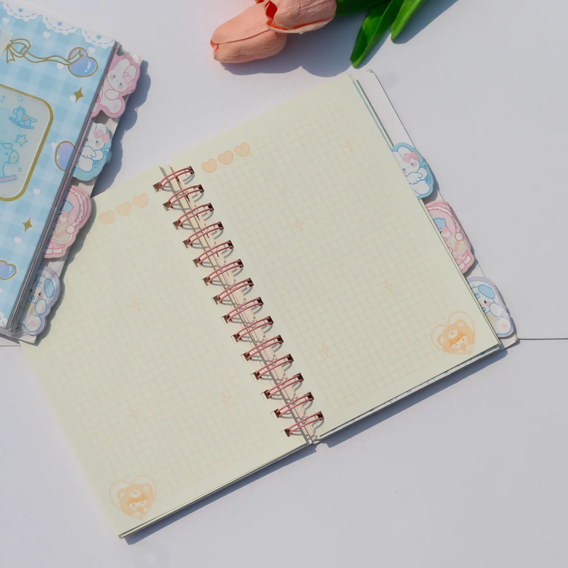 Dreamy-kawaii-spiral-journal-online-india-4