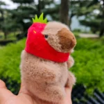 Capybara-Plushie-Bag-Charms-Online-India-4