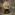 Jujutsu-Kaisen-Gojo-Sitting-Figure-online-India-1
